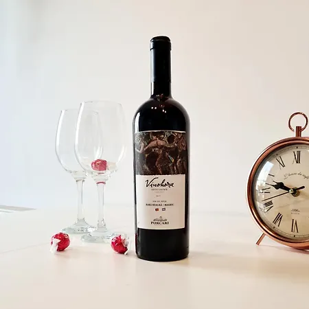 Apartment Modern Studio Apartment 113 With Balcony *